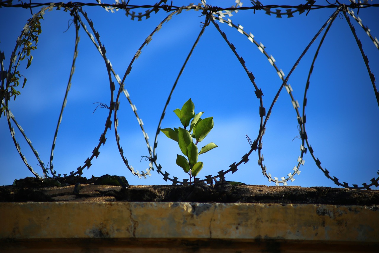 Timeless Entrepreneurial Principles: How to Navigate a Volatile Market